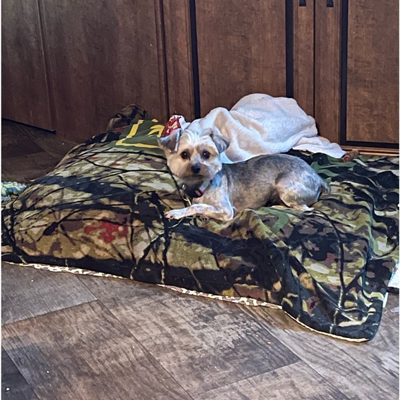 Meet your Posher, Lashell - Picture 1 of 1